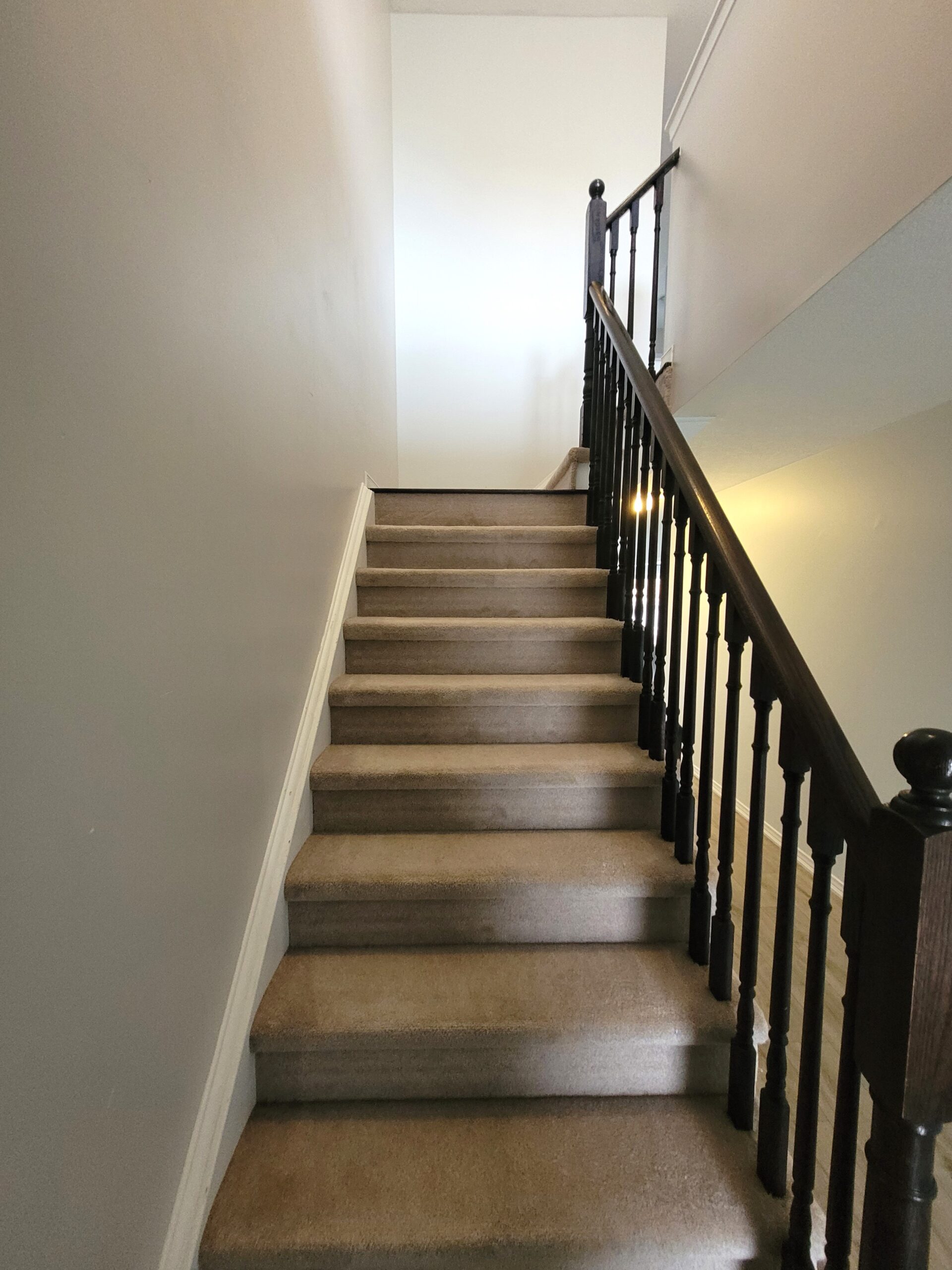English Lane 12