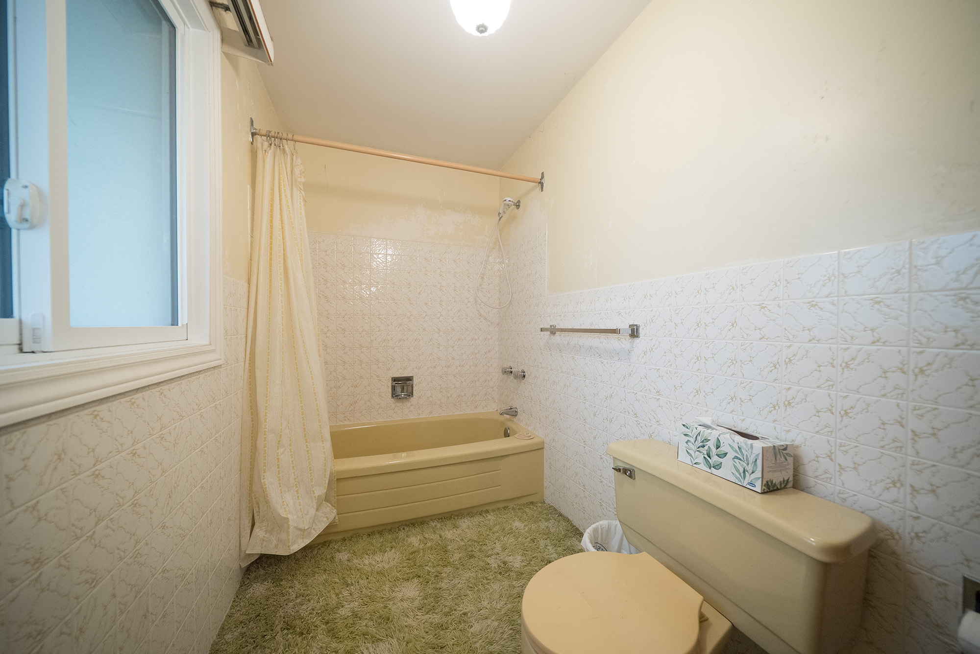 Japonica_24_e28